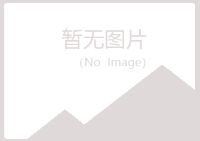 周口川汇夏岚木材有限公司